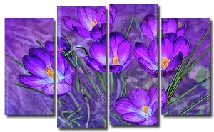 Purple Crocus 4 Panels Paint By Numbers