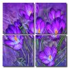 Purple Crocus Square Panels Paint By Numbers