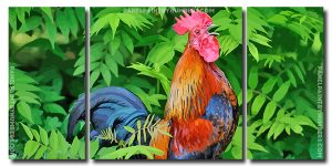 Rooster Bird Animal 3 Panels Paint By Numbers