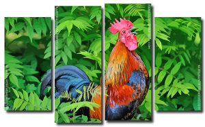 Rooster Bird Animal 4 Panels Paint By Numbers