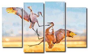 Sandhill Crane Fighting 4 Panels Paint By Numbers