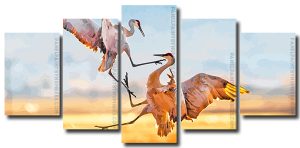 Sandhill Crane Fighting 5 Panels Paint By Numbers