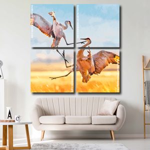 Sandhill Crane Fighting Square Panels Paint By Numbers