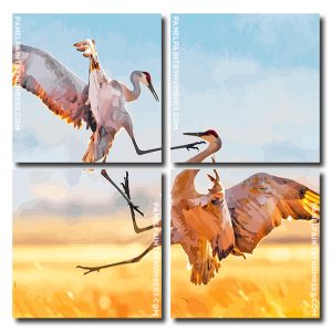 Sandhill Crane Fighting Square Panels Paint By Numbers