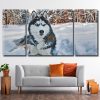 Siberian Husky Dog 3 Panels Paint By Numbers