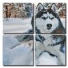 Siberian Husky Dog Square Panels Paint By Numbers