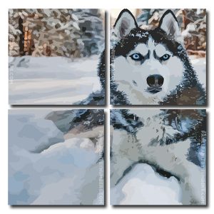 Siberian Husky Dog Square Panels Paint By Numbers