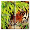 Sneaky Tiger Square Panels Paint By Numbers