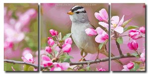 Sparrow Bird and Pink Flowers 3 Panels Paint By Numbers