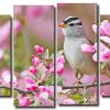 Sparrow Bird and Pink Flowers 4 Panels Paint By Numbers