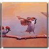 Sparrows Bird On A Branch 3 Panels Paint By Numbers