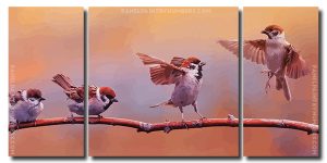 Sparrows Bird On A Branch 3 Panels Paint By Numbers