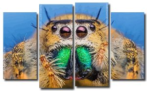 Spider Insect 4 Panels Paint By Numbers