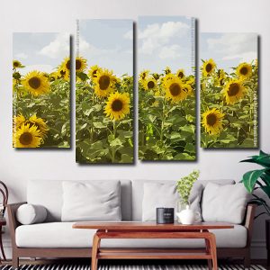 Sunflower Field 4 Panels Paint By Numbers