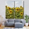 Sunflower Field Square Panels Paint By Numbers