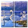 Swans On Lake Square Panels Paint By Numbers