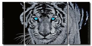 Tiger With Blue Eyes 3 Panels Paint By Numbers