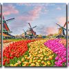 Tulip Fields And Windmills 3 Panels Paint By Numbers