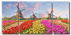 Tulip Fields And Windmills 3 Panels Paint By Numbers