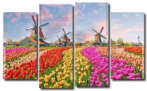 Tulip Fields and Windmills 4 Panels Paint By Numbers