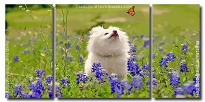 White Dog Watching Butterfly 3 Panels Paint By Numbers