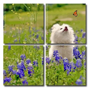 White Dog Watching Butterfly Square Panels Paint By Numbers