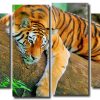 Wild Tiger Art 4 Panels Paint By Numbers