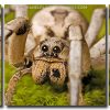 Wolf Spider 3 Panels Paint By Numbers