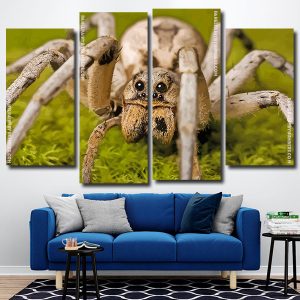 Wolf Spider 4 Panels Paint By Numbers