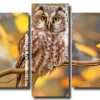 Zimbabwean Owl 5 Panels Paint By Numbers