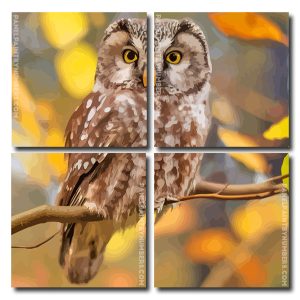 Zimbabwean Owl Square Panels Paint By Numbers