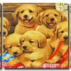 Adorable Puppies 3 Panels Paint By Numbers