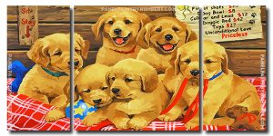 Adorable Puppies 3 Panels Paint By Numbers