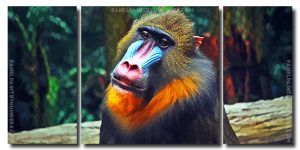 Aesthetic Mandrill 3 Panels Paint By Numbers