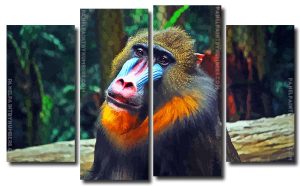 Aesthetic Mandrill 4 Panels Paint By Numbers