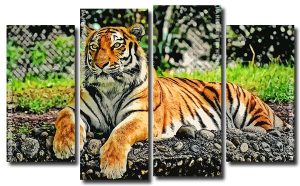 Aesthetic Tiger 4 Panels Paint By Numbers