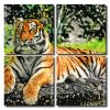 Aesthetic Tiger Square Panels Paint By Numbers