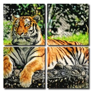 Aesthetic Tiger Square Panels Paint By Numbers