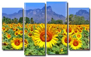 Beautiful Sunflowers 4 Panels Paint By Numbers