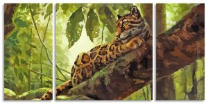 Clouded Leopard 3 Panels Paint By Numbers