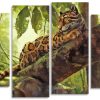 Clouded Leopard 4 Panels Paint By Numbers