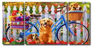 Cute Dogs 3 Panels Paint By Numbers