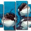 Cute Orcas 4 Panels Paint By Numbers