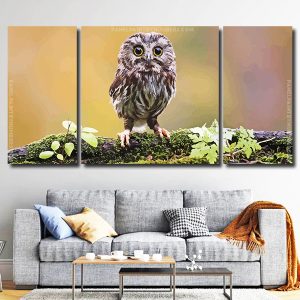 Cute Owl Bird 3 Panels Paint By Numbers