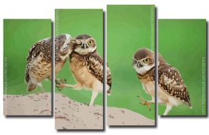 Cute Owls 4 Panels Paint By Numbers