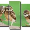 Cute Owls 5 Panels Paint By Numbers