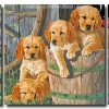 Cute Puppies 3 Panels Paint By Numbers