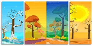 Four Seasons Art Illustration 3 Panels Paint By Numbers