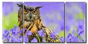 Owl Bird 3 Panels Paint By Numbers