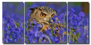 Owl Bird Art 3 Panels Paint By Numbers